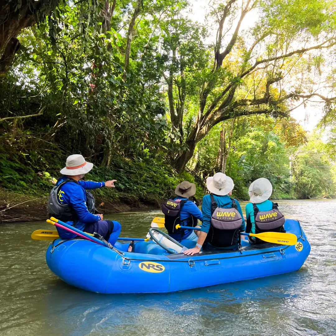 Wave Rafting guide points out wildlife during a calm float tour in the rainforest