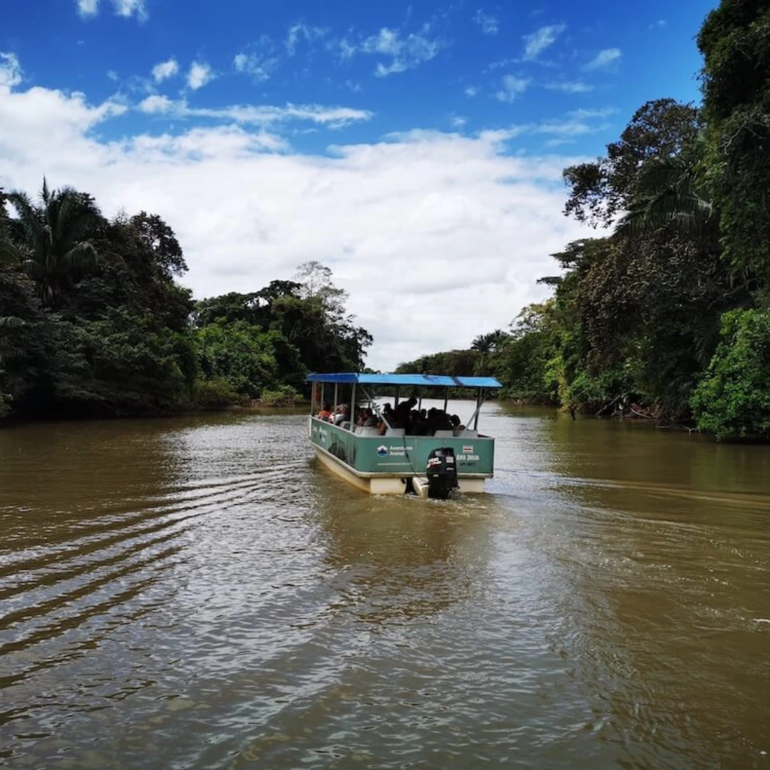 caño negro boat tour