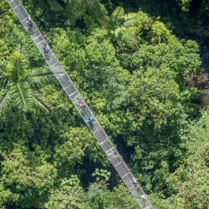 aerial view of hanging bridge over rainforest canopy in la fortuna costa rica