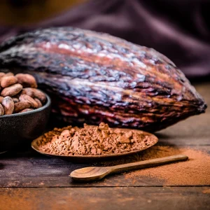 Close-up of cacao beans and chocolate used during WAVE’s Safari Float & Chocolate Tour in Costa Rica